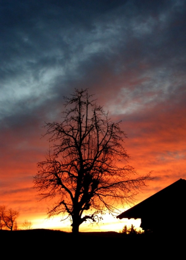 Tramonto - Carnia 