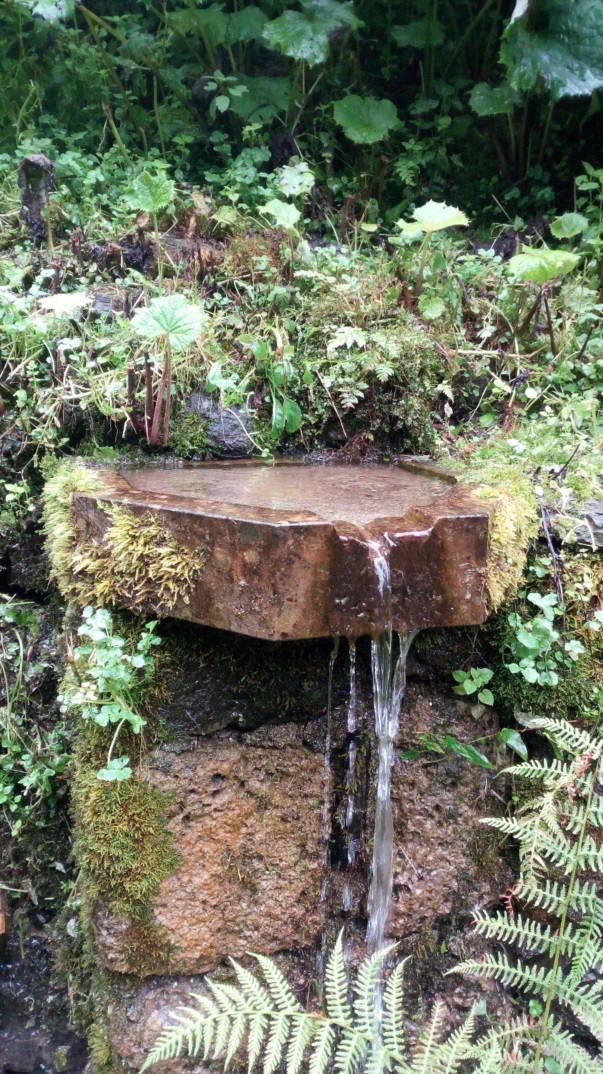 Sorgente di alta montagna - Carnia 